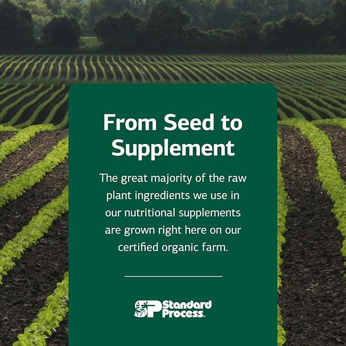 Standard Process Kitten Kit - Overall Health Kit for Feline Whole-Body Support - Feline Immune System Support Supplements - Wellness Supplements to Support Kitten Health & Growth - Includes Catnip Toy