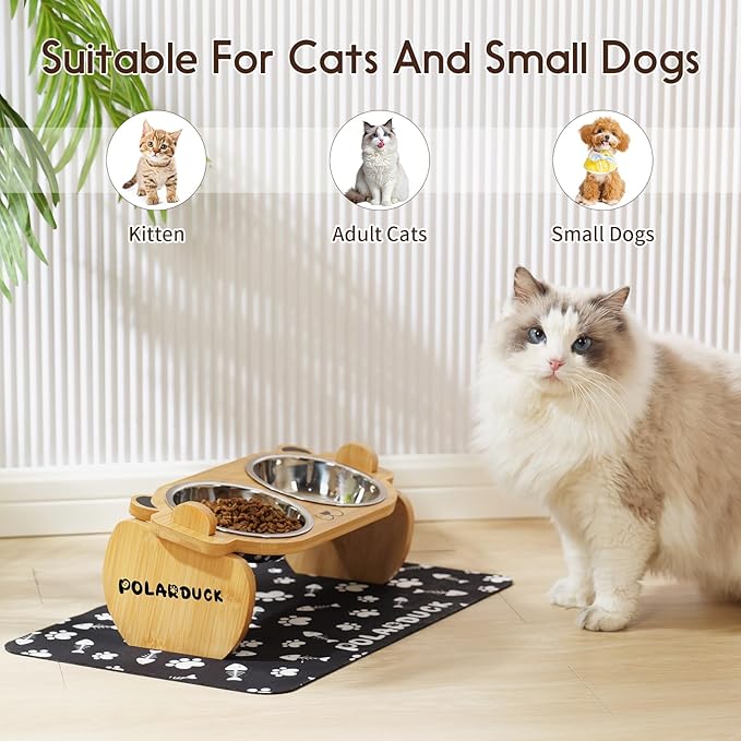 Tilted Elevated Cat Food Bowls Set: Raised Pet Dishes for Cats & Puppy with 15°Tilted Bamboo Stand, Stainless Steel Food & Water Bowl and Pet Feeding Mat | Anti Vomiting (2 Bowls | Red Panda)