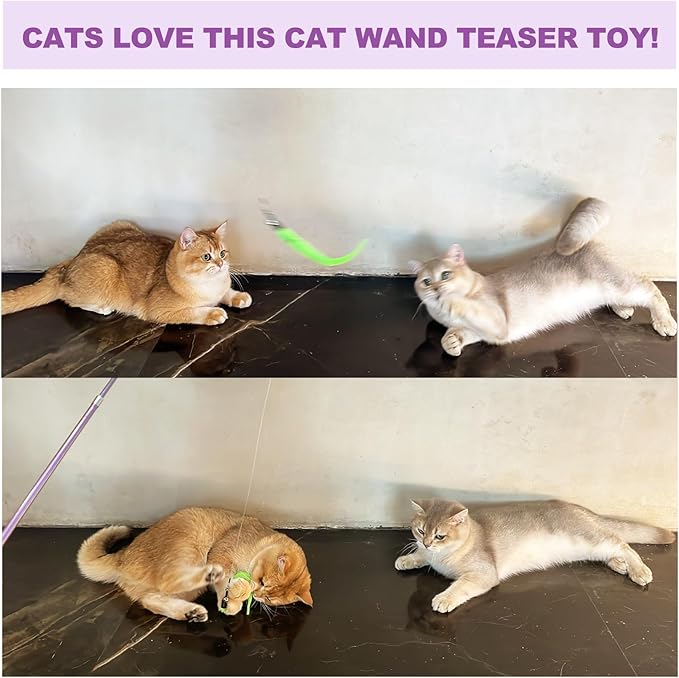11PCS Cat Wand Toy, Cat Interactive Toys for Indoor Cats, 2 Retractable Cat Wand, 7 Worm Cat Teaser Toys and 1 Plush Fish Cat Toy, Cat Feather Toys for Play Chase Exercise with Kitten, Extra 1 Line