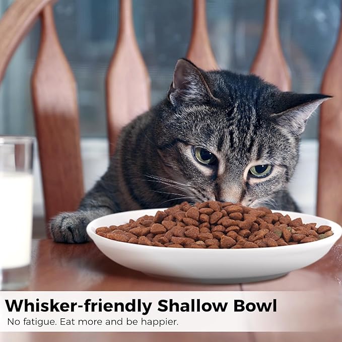 Cute Fish Bone Design Cat Bowls - Wide & Shallow Ceramic Feeding Dishes for Wet & Dry Food, Kittens to Cats