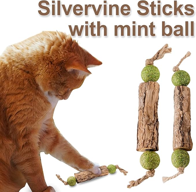 Silvervine Sticks Catnip Toys for Cats, 3 Pack, Interactive Indoor Cat Toy for Teeth Cleaning, Natural Matatabi Chew Treat for Aggressive Chewers