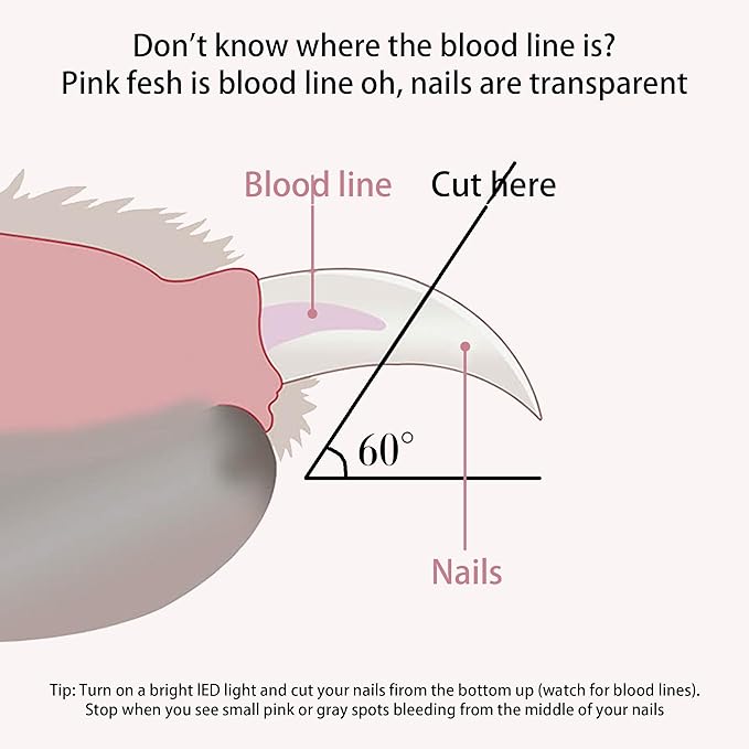 Pet Nail Clippers with LED Lights cat Nail Clippers for Indoor Cats Nail Trimmer Clippers for Small Dog Nail Trimmers Cats Rabbits Nail Clippers Bird Kittens (Pink)