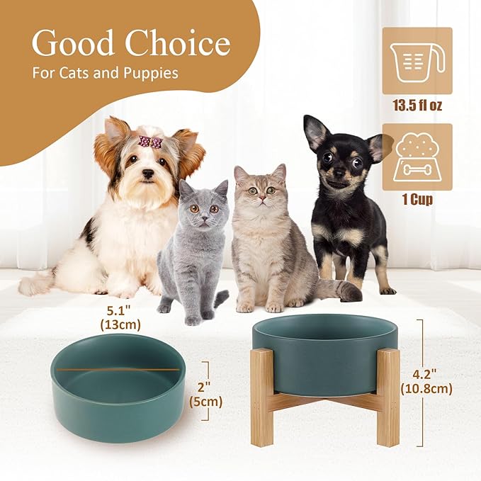 Raised Ceramic Cat Bowl - Cat Food Bowl with Bamboo Stand - Elevated Dog Food Dish for Puppies - Comfort Eating - 13.5 oz - 400 ml - Green