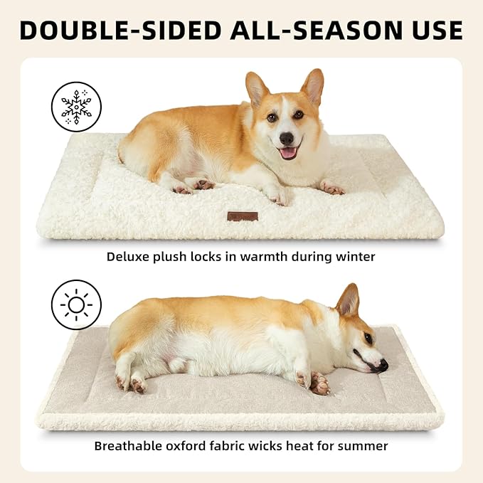 Fluffy Reversible Dog Bed Mat - Ultra Soft & Machine Washable Dog Crate Pad fit for Metal Kennel, Cozy Sleeping Mat, 35" x 22", Beige