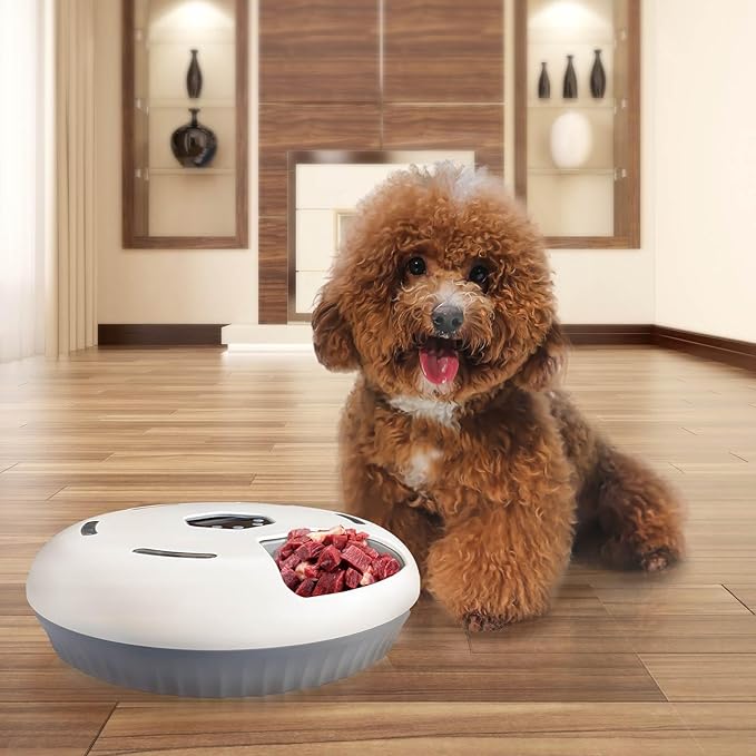 Automatic Cat Feeder Wet&Dry Food, 6 Meal Timed Pet Dispenser Easily Programmable &Easy to Clean,with 2 Ice Packs Auto Feeder for Cats/Small Dogs