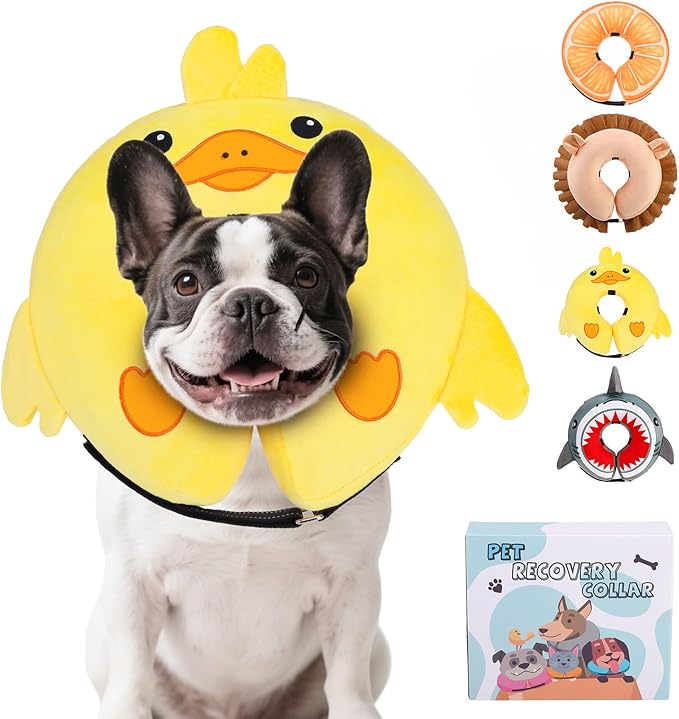 KOOLTAIL Inflatable Dog Cone Collar, Soft Dog Cone Alternative for Large Medium Small Dogs After Surgery, Cute Costume Adjustable Donut Neck Cone for Dogs Cats, Comfortable Recovery E Collar, Duck M