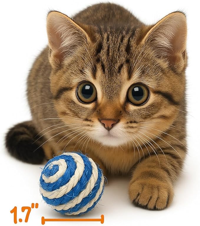 Cutie's PetBox 3-Pack Sisal String Rattle Ball Toy for Indoor Cats - All Natural Woven Fibers, Assorted Colors, 1.7" Size