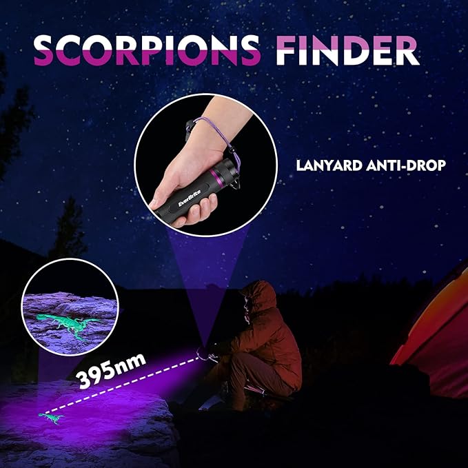 EverBrite UV Flashlight, 100 LED Blacklight Flashlights, 395nm Black Light Flashlight for Pet Urine Detection, Scorpions, Dry Stains, Bed Bug (Batteries Included)