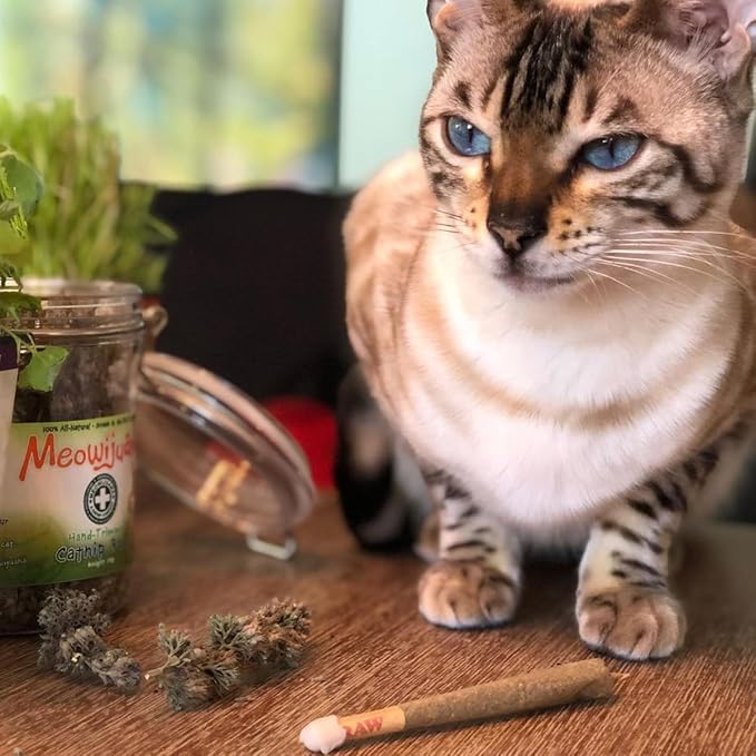 Meowijuana | King Size Catnip Joints | Organic | Dried Premium Ground Catnip | High Potency | Grown in North America | Feline and Cat Lover Approved