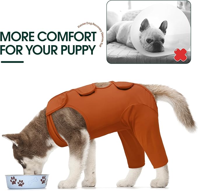 Kuoser Dog Recovery Suit for Back Legs & Thigh Wounds - Brown XL