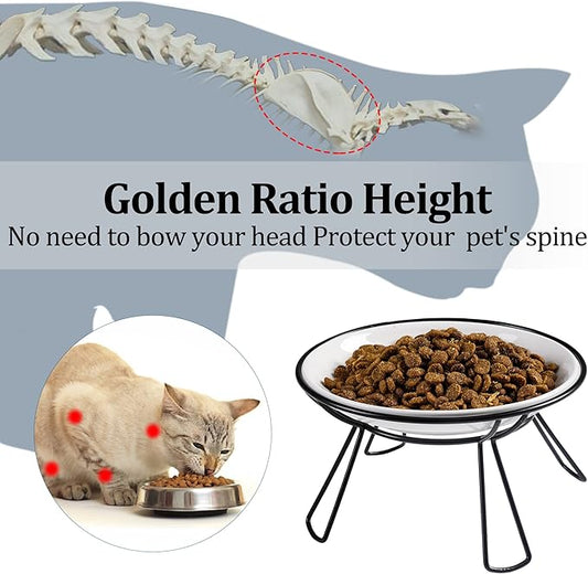 Cat Bowls, Elevated Bowl, Raised Ceramic Dish with Metal Stand, Pet Water or Food Feeding Station for Indoor Cats, Kitten, Puppies and Small Dogs(2 Pack)