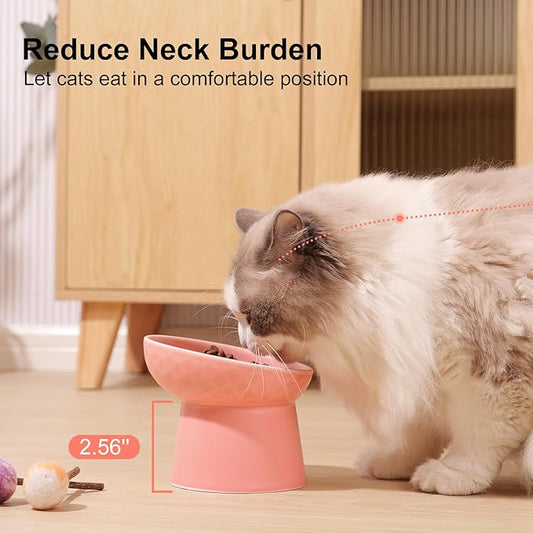 YauYik Small Raised Cat Bowls, Ceramic Tilted Elevated Food or Water Bowls, Stress Free, Backflow Prevention, Dishwasher & Microwave Safe, Lead & Cadmium Free, Pink