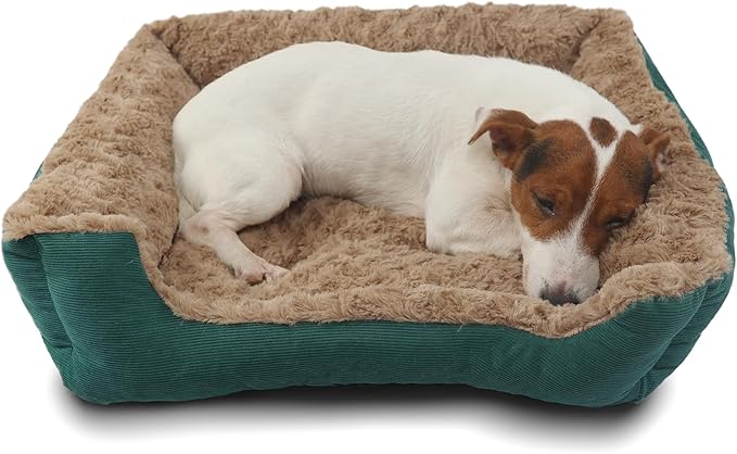 Small Dog Bed Washable for Dogs Calming Space 20"X19",Kitten Beds for Indoor Kittens Up to 20 Lbs Pet Sofa with Side Rectangle Anxiety Doggy Kennel and Anti Slip Bottom Plush Cuddle Puppy Bed,Green