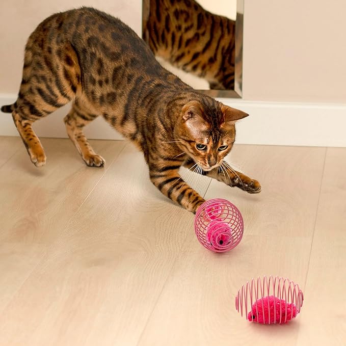 Jecery 5 Pcs Cat Spring Balls Stretchable Springs Toys Rolling Balls Colorful Playful Coils Interactive Spring Action Toy Caged Rats for Kitten Cat Pet Supplies Indoor (Mouse,Pink)