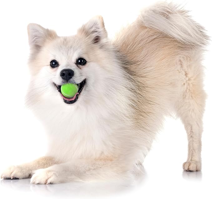 Playology Dog Toys | Squeaky Chew Ball - Squeaky and Bouncy Durable Floating Fetch Ball for Dogs (Value 3-Pack) | Small Beef Scented Toy - Easy to Clean and Made from Non Toxic Materials