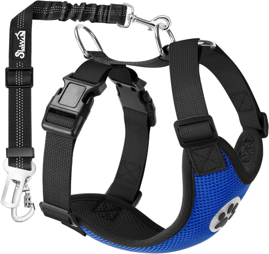 SlowTon Dog Seat Belt Harness for Car, Dog Car Harness Adjustable Mesh Breathable & Dog Seatbelt Safety Tether with Elastic Bungee for Small Medium Large Pets(Blue, Double Clip, S)