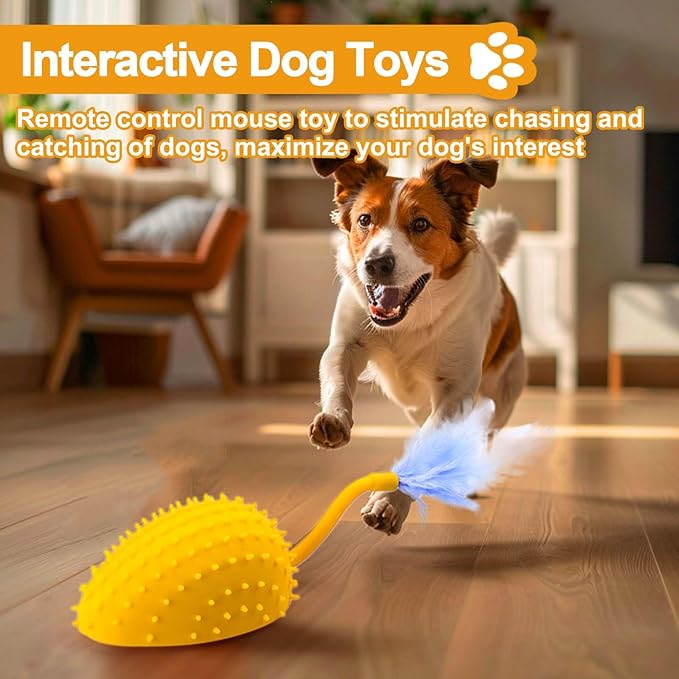 Mity rain Interactive Dog Toys, Remote Control Dog Toy with Feather Tail and Charger, Funny Dog Toys for Small Medium Dogs Outdoor and Indoor, Dog Toys to Keep Them Busy