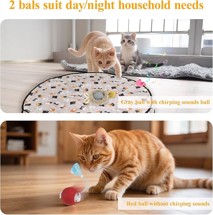 Interactive Cat Toys for Indoor Automatic Cat Balls Hide and Seek in Pouch, with 2 Balls 3 Tails Play Mat, 5 Ways Playing Enrichment Toys
