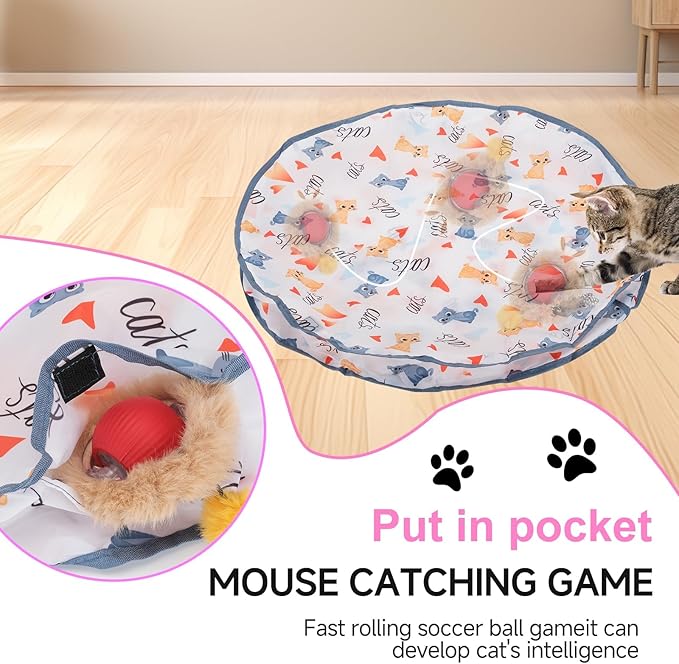 Interactive Cat Toy Ball Fast Rolling in Pouch, Automatic Motion Activated Simulated Chirping Bird Sound Hide and Seek Mouse Chasing Game,White Mate Red Moving Ball for Indoor Cat