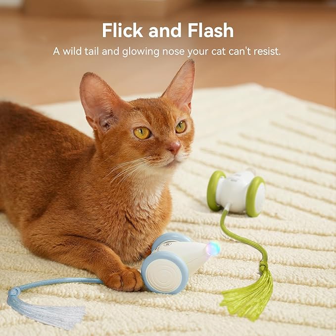 Cheerble Interactive Cat Toys for Indoor Cats, Automatic Moving Kitten Toys, Wicked Mouse Neo Cat Toy with Tail & Lights, Pet Cat Supplies, Rechargeable Cat Toys for Bored Indoor Adult Cats,Blue