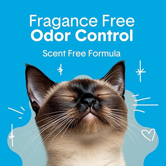 Boxie Unscented 30 Day Odor Control Clumping Clay Cat & Kitty Litter 16 lb, 99.9% Dust-Free, Hard Flat Top Clumps, No Fragrances No Fillers, Long-Lasting, Easy to Scoop