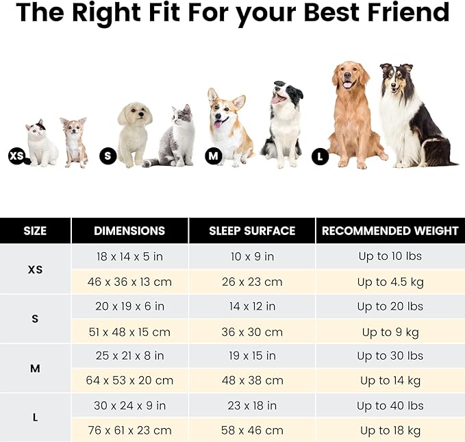 Miguel Washable Dog & Cat Bed with Removable Cushion for Medium & Small Dogs, Easy to Wash Pet Sofa Bed with Side Bolster, Anti-Slip Bottom, Dark Brown, 30 Inch Rectangle