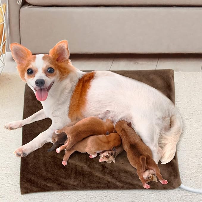 NAMOTEK Pet Heating Pad, Safe Electric Heating Pad for Dogs and Cats Indoor Warming Pad with Auto Constant Temperature 19.7" x15.7"
