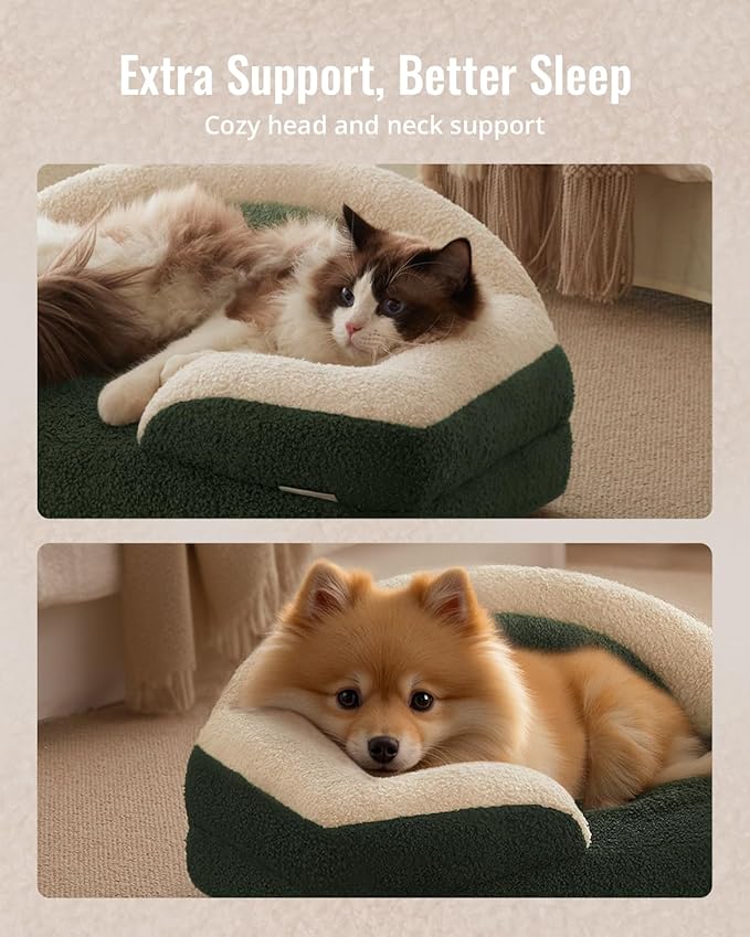 Blissful Diary Foam Cat Bed Small Size, Washable Pet Bed for Cats and Dogs, Soft Teddy Plush with Rainbow Design (Green)