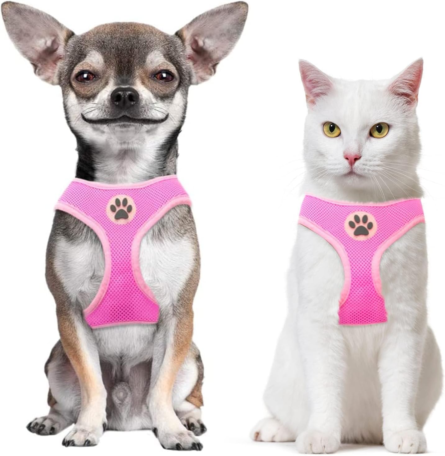 BINGPET Small Dog Harness - Breathable Mesh Puppy Cat Harnesses - No Pull Adjustable Dog Harness Dog Vest Harness for Small and Medium Dogs