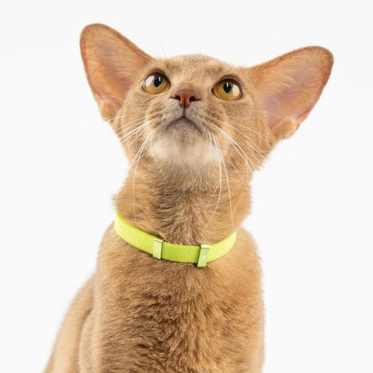 Safety Cat Collar - U.S. IDA Gold Awarding Design, Stretch Elastic Quick Release, Non Breakaway - Light Weight for Kitten, Neck Fit 5.9'-11.8' for All Small Large Cat,S(Sierra Blue)
