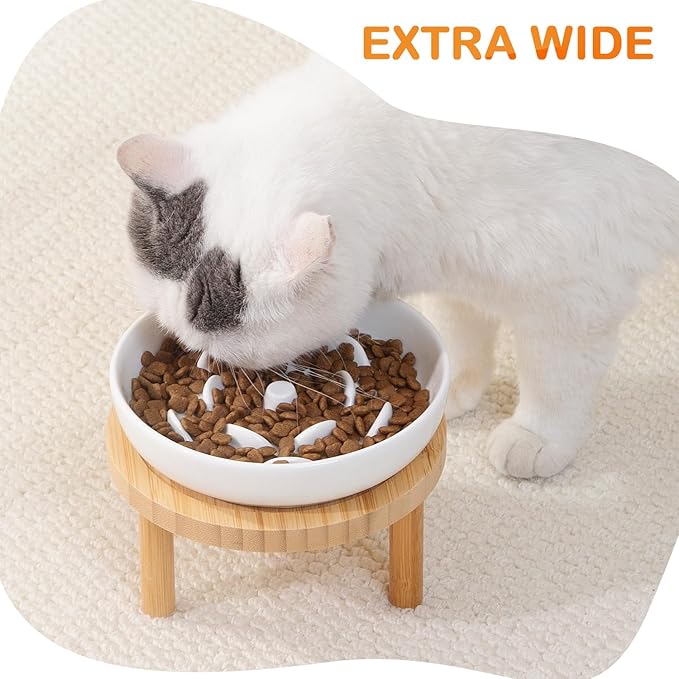 Raised Slow Feeder Cat Bowl, 5.9 Inch Wide Shallow Ceramic Elevated Glass Food Bowl Puzzle Feeders, Anti Vomit Cat Dish, Whisker Friendly Pet Plates Feeding Station for Indoor Cats, Kitten(2 Set)