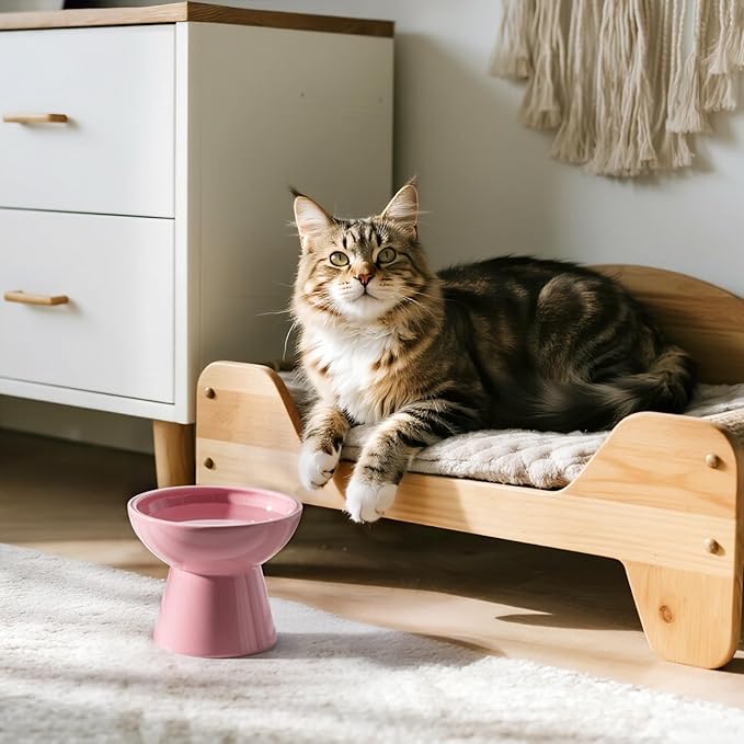 Extra Wide Elevated Ceramic Cat Water Bowl - 6.2" Deeper Dish for Whisker Fatigue Relief, 5" Height for Easy Feeding, Lead & Cadmium Free, Durable Raised Cat Bowls, Pink
