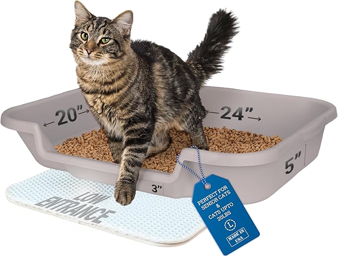 KittyGoHere Senior Cat Litter Box 1 Pack, Large Misty Gray Low Entrance Kitty Litter Box, Sized for Cats Comfort, Perfect for Senior and Arthritic Cats, Made in USA