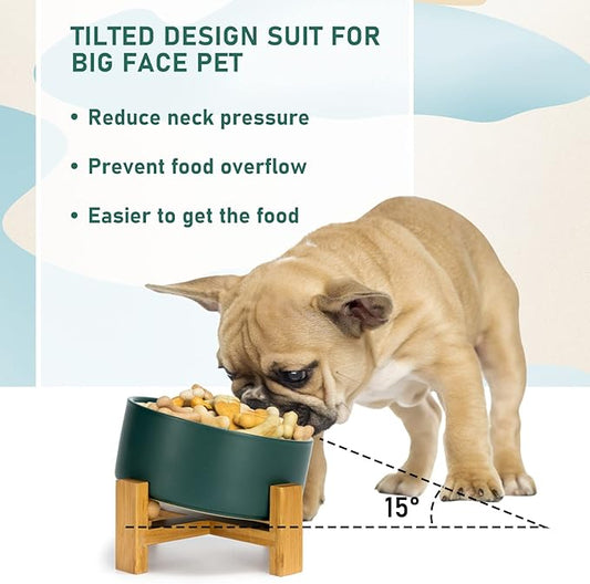 SPUNKYJUNKY 15° Slanted Ceramic Dog and Cat Bowl with Wooden Stand, Tilted Bulldog Food and Water Bowl No Slip Non-Spill for Cats Medium Dogs Big Face Pets 28.7 OZ (3.6 Cups, Green)