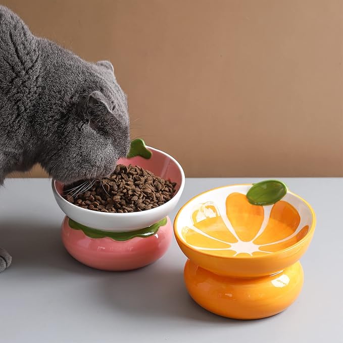 Ceramic Raised/Elevated Cat Food Bowl for Indoor Cats, Anti Vomiting & Protect Pet's Spine, Cute Fruit Themed Tilted Cat Dish for Flat Faced Cats and Kitten (Orange Shaped)