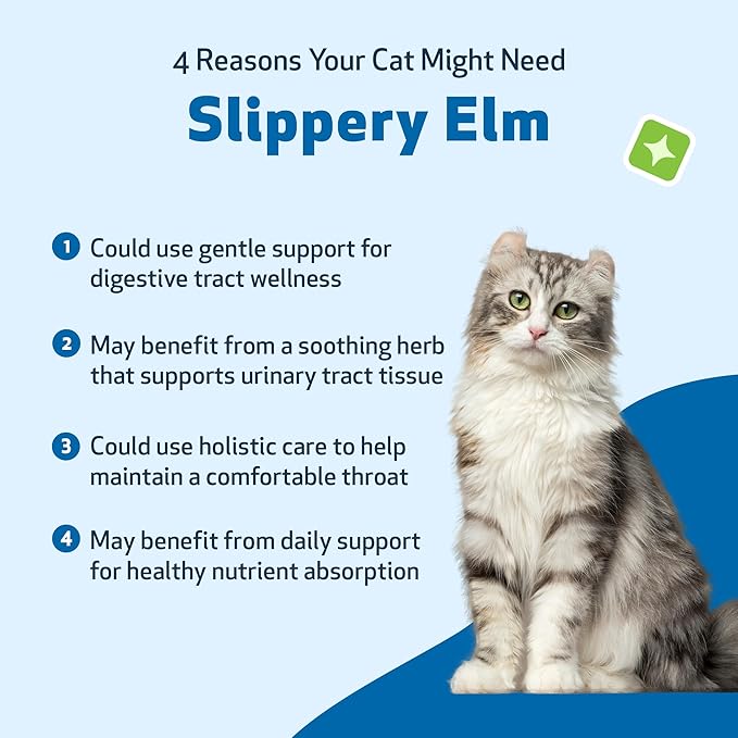 Pet Wellbeing Slippery Elm for Cats - Organic Herb, Supports Healthy Digestive Tract, Gut Lining, Throat Comfort, Lower Urinary Tract Health - Veterinarian-Formulated Herbal Supplement 2 oz (59 ml)