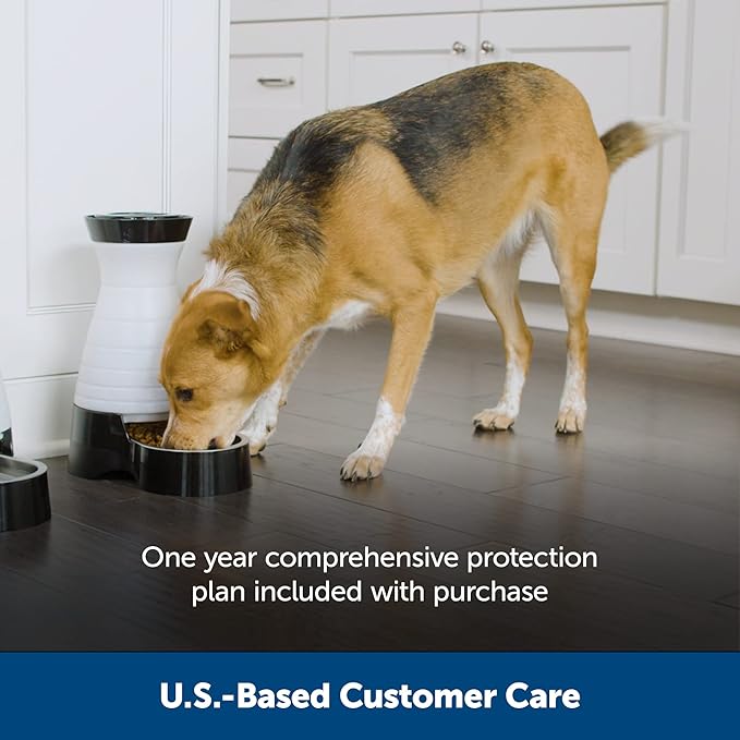 PetSafe Healthy Pet Food Station - Automatic Indoor Gravity Cat & Dog Feeder - Space-Saving Self Feeder - Easy to Clean - Small - Up to 2 lb Kibble Capacity