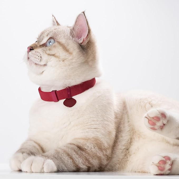 Safety Cat Collar Pro and Tag Set - U.S. IDA Gold Award, Elastic Release Cat Collar Charm Tag, Non Breakaway Cat Collar Adjustable with Charm for Kitten Small Large Cats (Monet Purple, S)