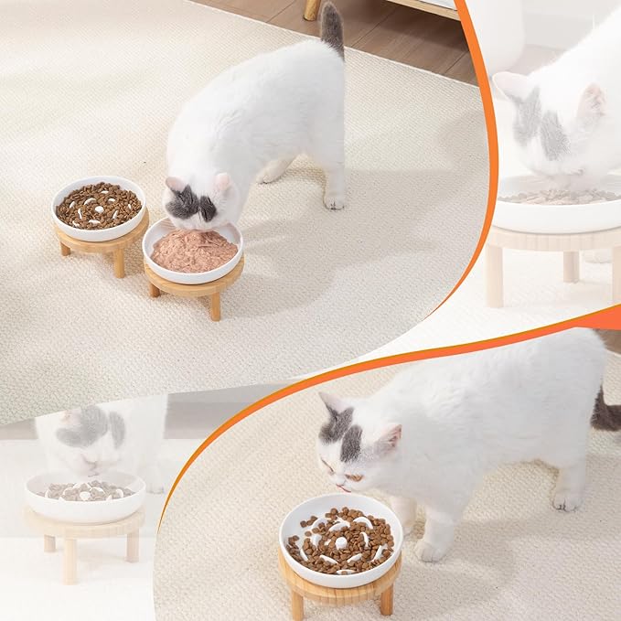 Raised Slow Feeder Cat Bowl, 5.9 Inch Wide Shallow Ceramic Elevated Glass Food Bowl Puzzle Feeders, Anti Vomit Cat Dish, Whisker Friendly Pet Plates Feeding Station for Indoor Cats, Kitten(2 Set)