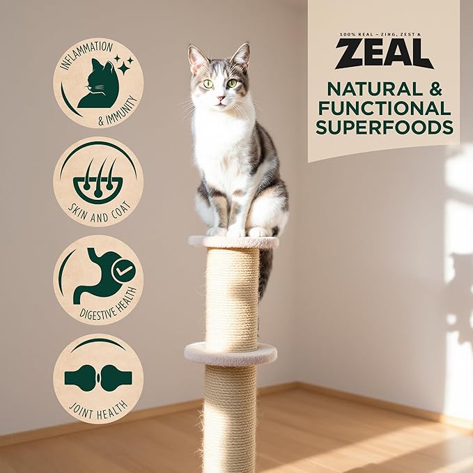 ZEAL Canada Air-Dried Salmon & Turkey Recipe for Cats - Superfood Omega-3 Rich, Dual-Protein, Grain Free, No Fillers, Complete Nutrition (Salmon & Turkey, 14.1 oz)