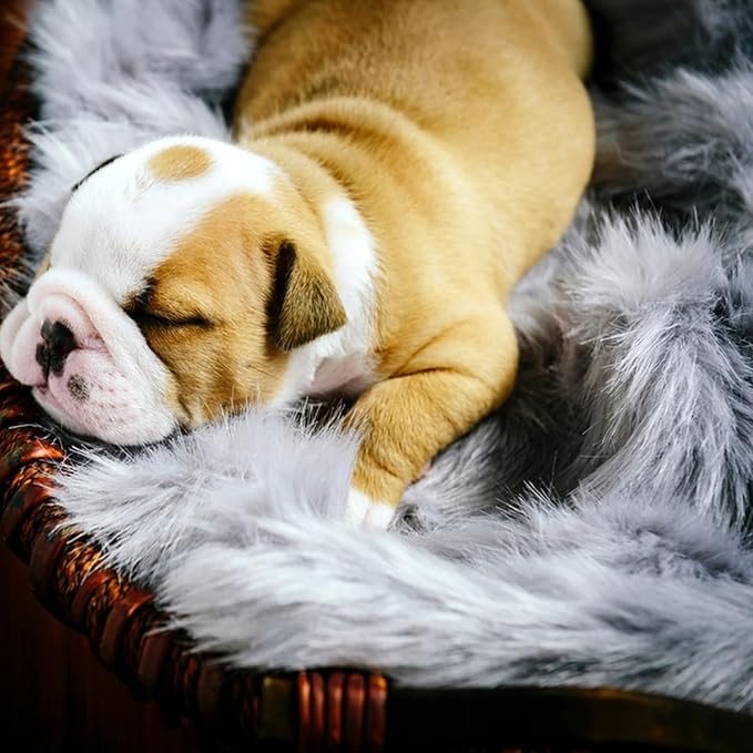 Fluffy Dog Cat Bed Mat 19.6x31.4 inch, Washable Soft Plush Faux Fur Warm Area Puppy Pads Blanket for Indoor Pet Sleep Cushion Grey