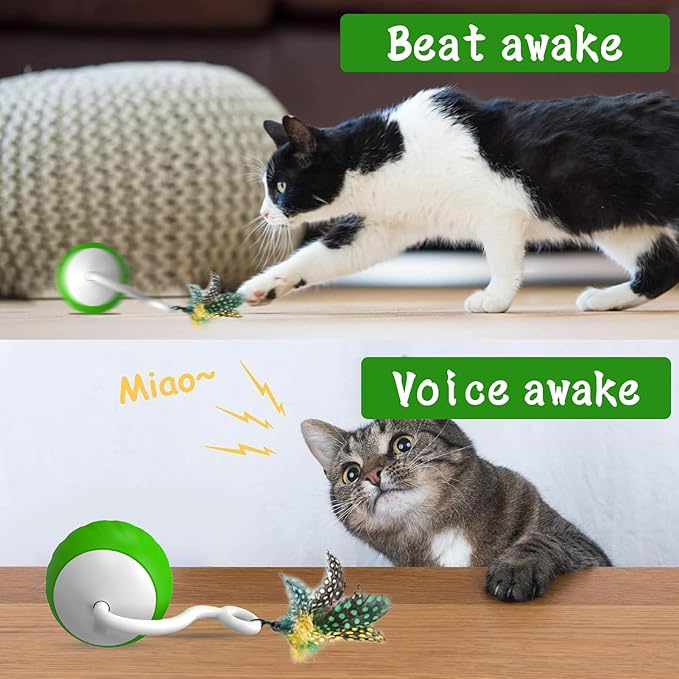 Interactive Cat Toys for Indoor Cats, DIY 5 in 1 Automatic Moving Cat Ball Toys/Puppies Toys with LED Rainbow Lights, Smart Sounds&Touch Control Cat Toys,USB Rechargeable Green
