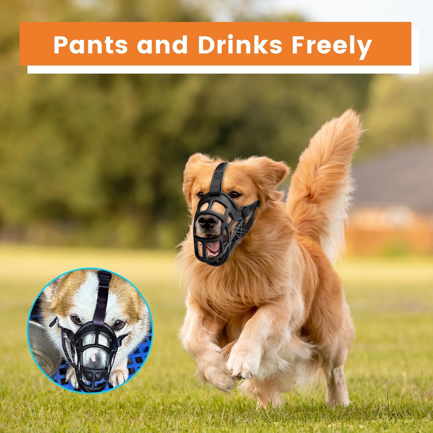 Dog Muzzle, Basket Muzzle Anti Biting Chewing, Sturdy Lightweight Muzzle Allows Panting Drinking, Cage Muzzle for Small Medium Large Dogs, Suitable for Grooming Trimming Training (Size 6)