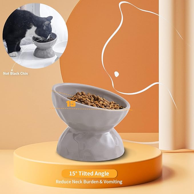 OMAYKEY Ceramic Raised Cat Bowls, Tilted Elevated Cat Food and Water Bowl Set, Porcelain Stress Free Pet Feeder Dish for Cats and Small Dogs, Dishwasher and Microwave Safe, White & Grey, Set of 2