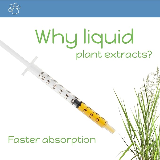 Immune-ity for Cats & Dogs - Herbal Health Supplement, Immune Support, Antioxidants, Yeast Balance, Healthy Stools, Microbiome Support, 1 Fluid Ounce Glass Bottle, Manufactured in The USA