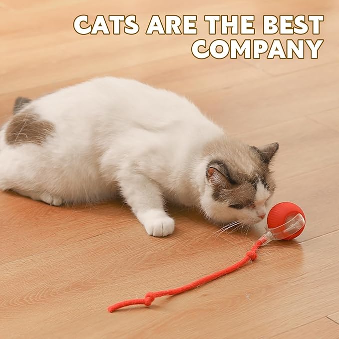 360° Smart Automatic Rolling Pet Ball - Interactive Dog & Cat Toy for Indoor Cats & Kittens (Red)