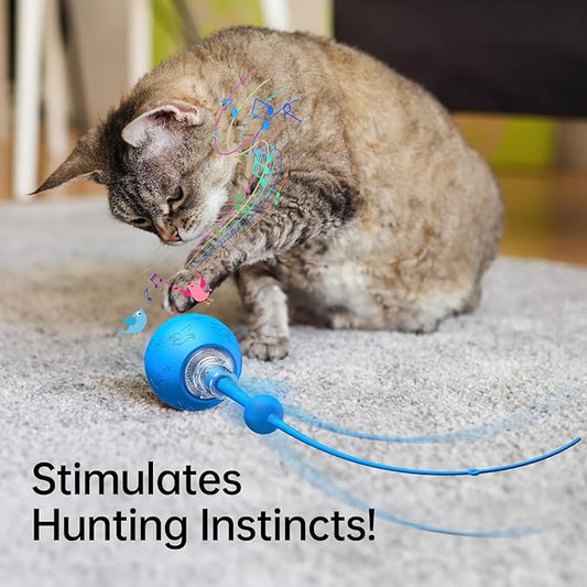 Interactive Cat Toy for Indoor Cats,Automatic Electric Self Rotating Ball with Chirping, Led Light and Long Tail for Motion Activated, Smart Spinning Ball for Fun Exercise, Blue