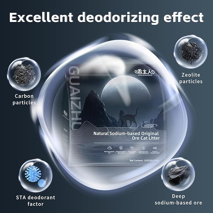 Natural Sodium-Based Raw Mineral Cat Litter | Dust-Free, Ultra Absorbent, Odor Control | Eco-Friendly, Low Tracking, Clumping Cat Litter (2 * 9.9LBS_Black Diamond)