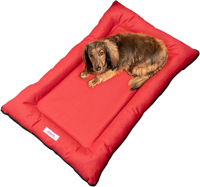 DBD3004A-M Archie 29.5" x 22.5" Traditional Oxford Waterproof Indoor/Outdoor Hand-Washable Memory Foam Camping Pet Bed, Strawberry
