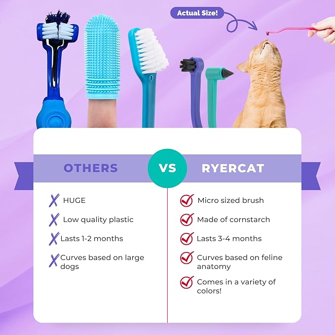 RYERCAT Set of 2 Dual Sided Cat Toothbrush - Kitten Toothbrush with Micro Head to fit into Cat/Kittens Mouth - Cat Dental Care Supplies - Pet Toothbrush for Cats(Amethyst Purple & Ocean Blue)